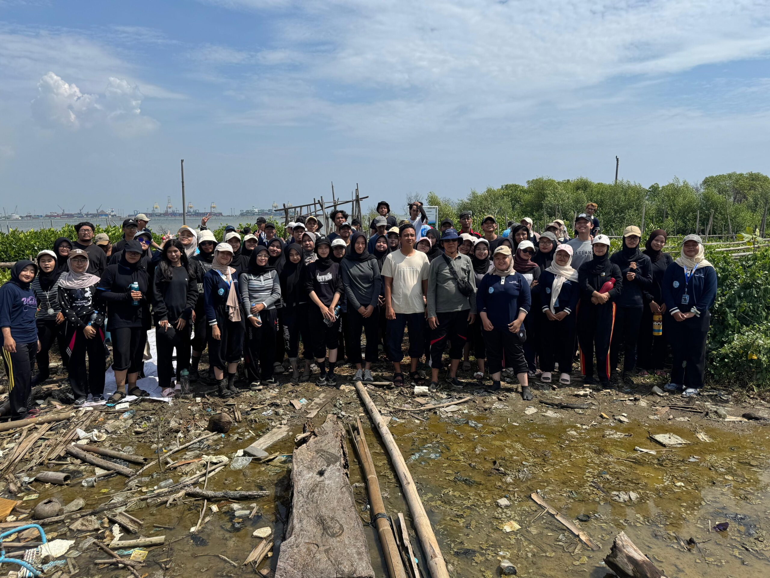 Mangrove Replant 12